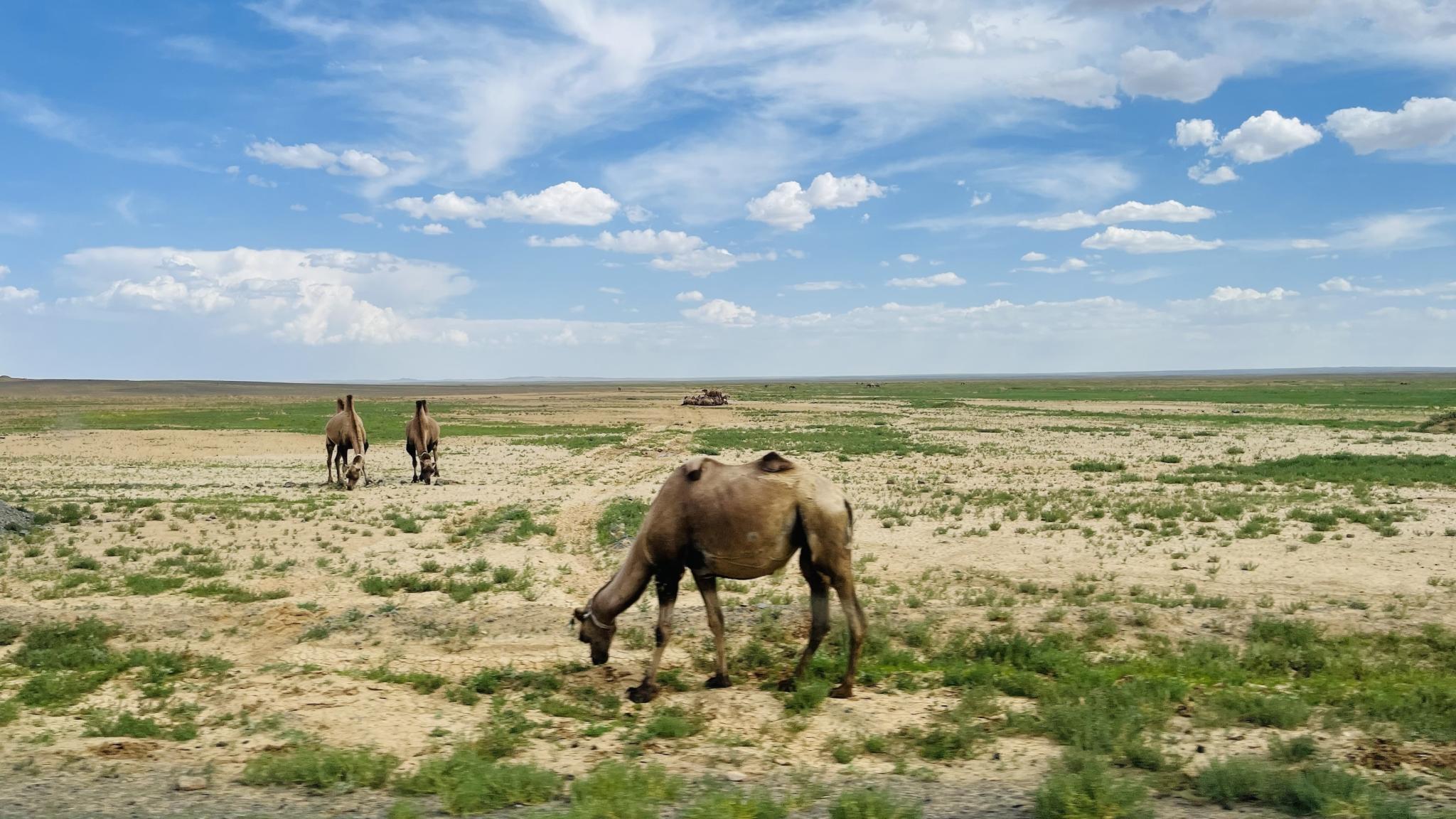 Landscape image Mongolia