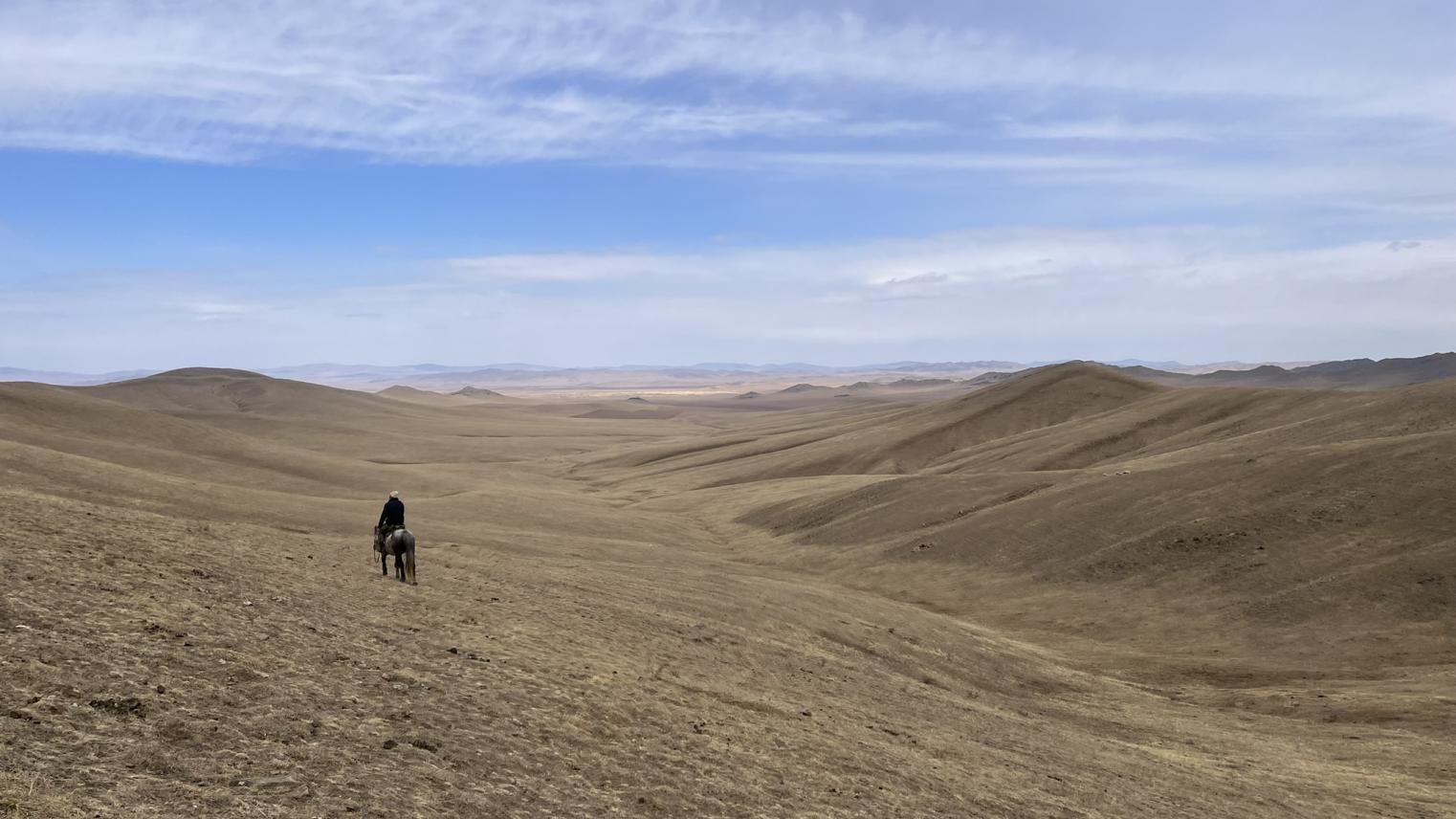 Horse rider in grassland